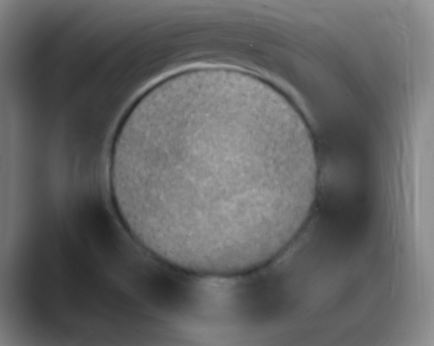 X0000088671514200706281911