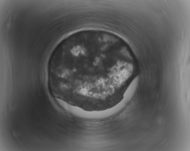 X0000088671515200706281911