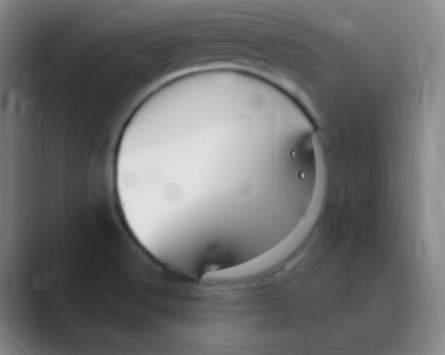 X0000088671516200706281911