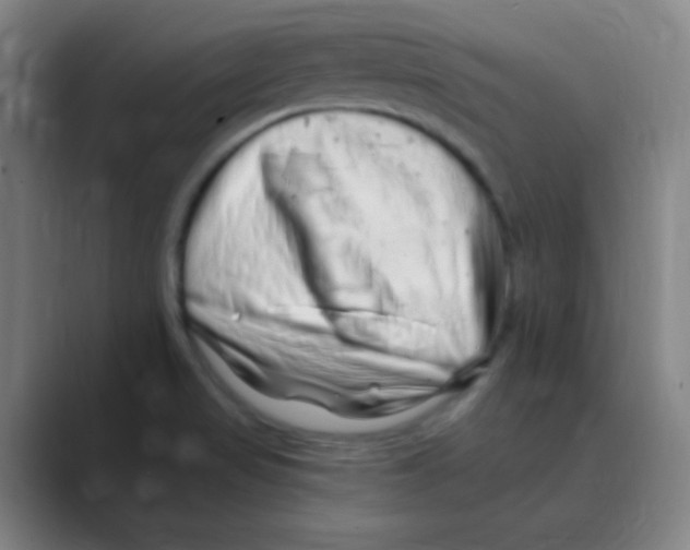 X0000088671517200706281911