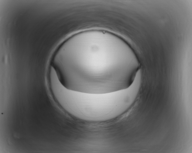 X0000088671518200706281911