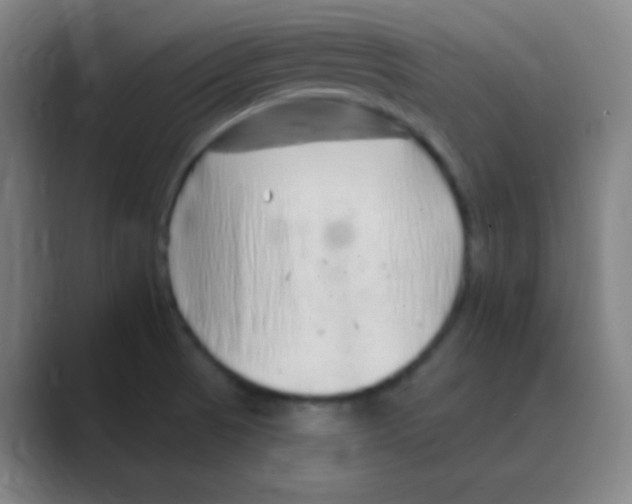 X0000088671521200706281911