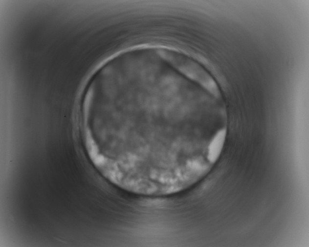 X0000088671522200706281911