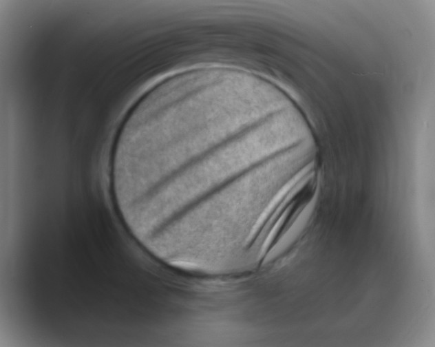 X0000088671523200706281911