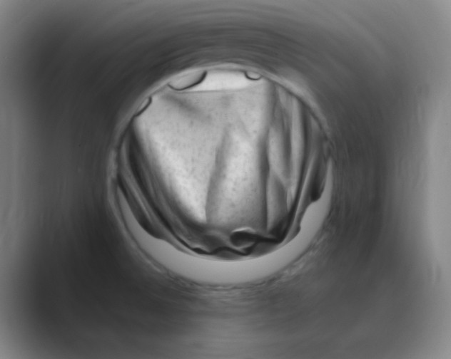 X0000088671524200706281911