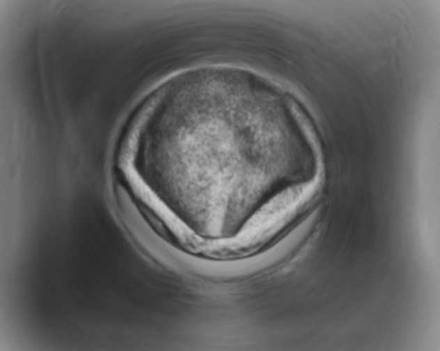 X0000088671525200706281911
