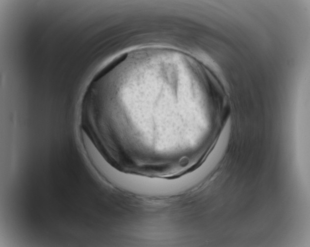 X0000088671528200706281911