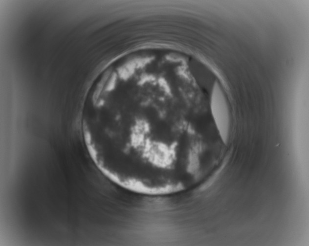 X0000088671529200706281911