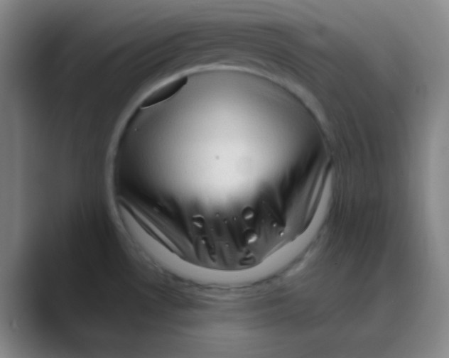 X0000088671530200706281911