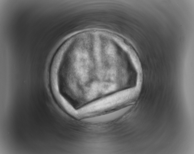 X0000088671531200706281911