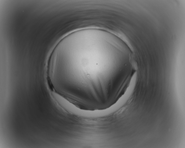 X0000088671532200706281911