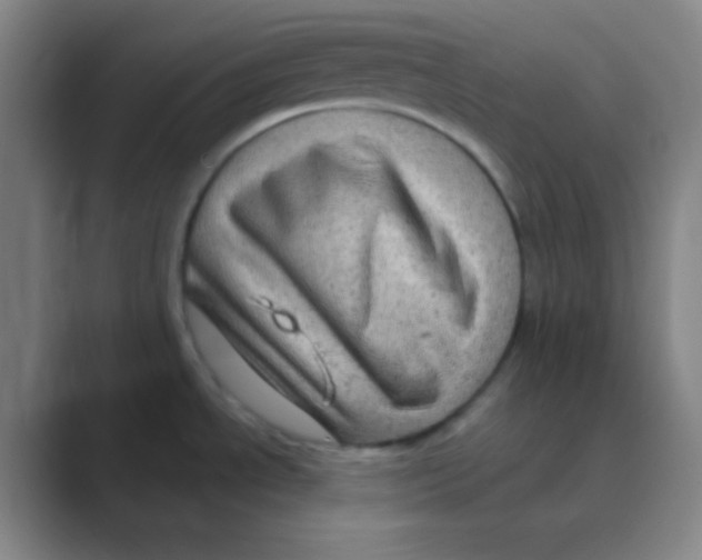 X0000088671534200706281911