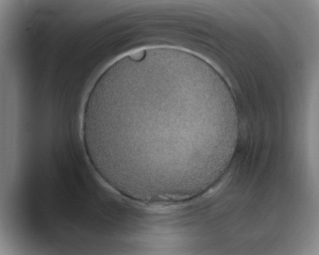 X0000088671535200706281911