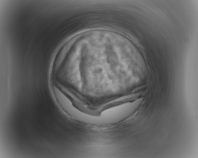 X0000088671536200706281911