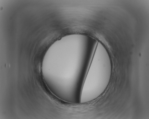 X0000088680021200705311035
