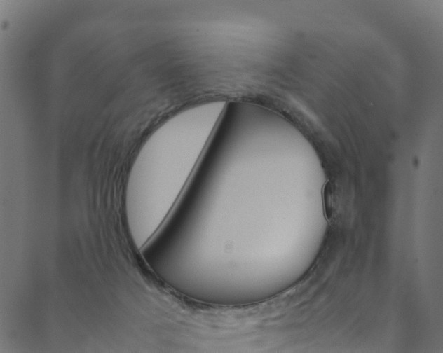 X0000088680025200705311035