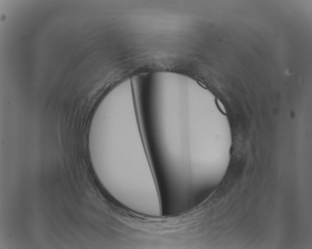 X0000088680027200705311035