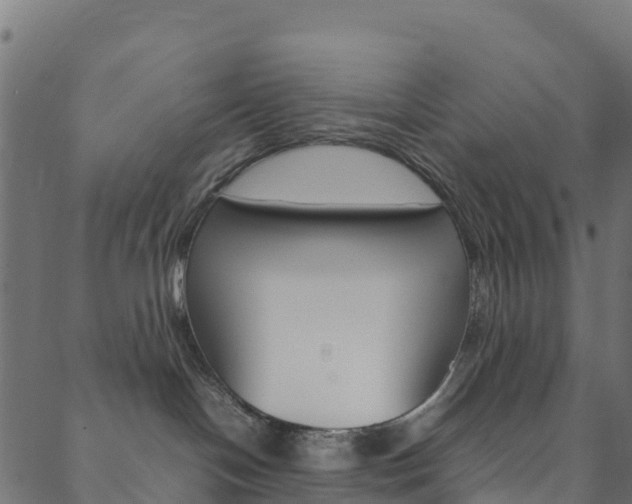 X0000088680094200705311034