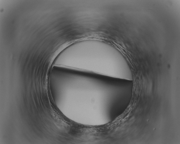 X0000088680100200705311033