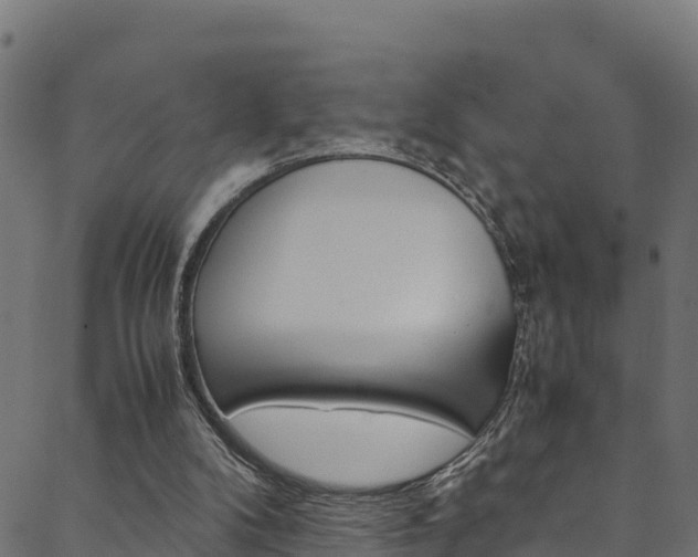 X0000088680104200705311033