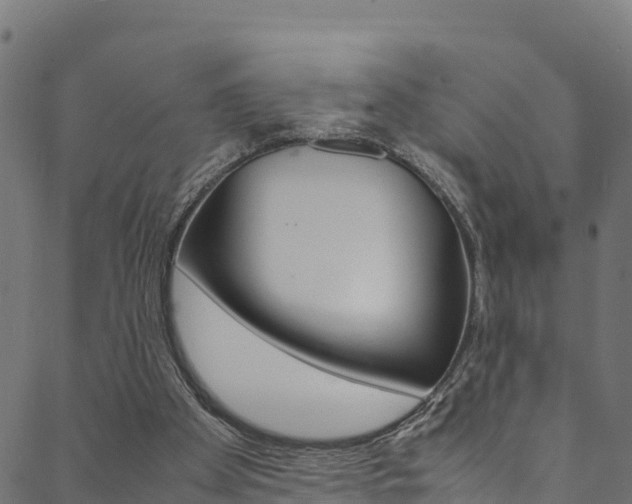 X0000088680105200705311033
