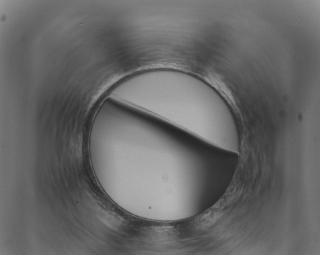 X0000088680108200705311033