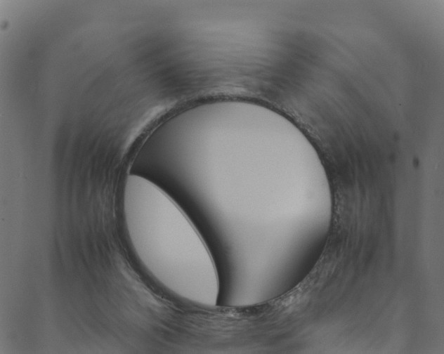 X0000088680112200705311033