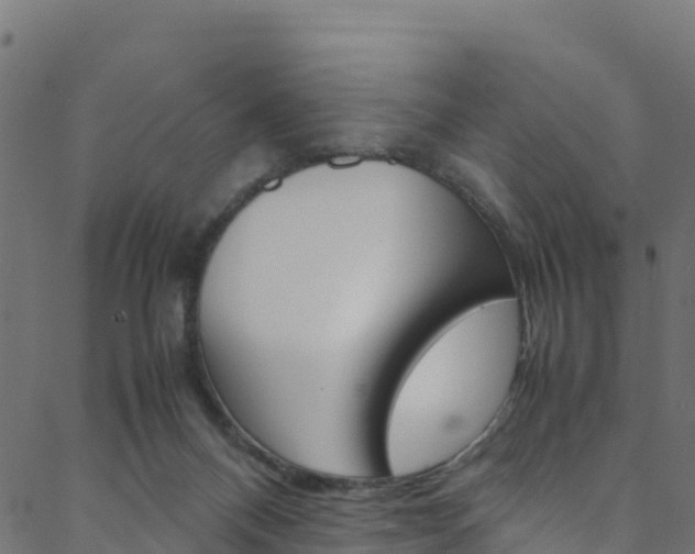 X0000088680120200705311033