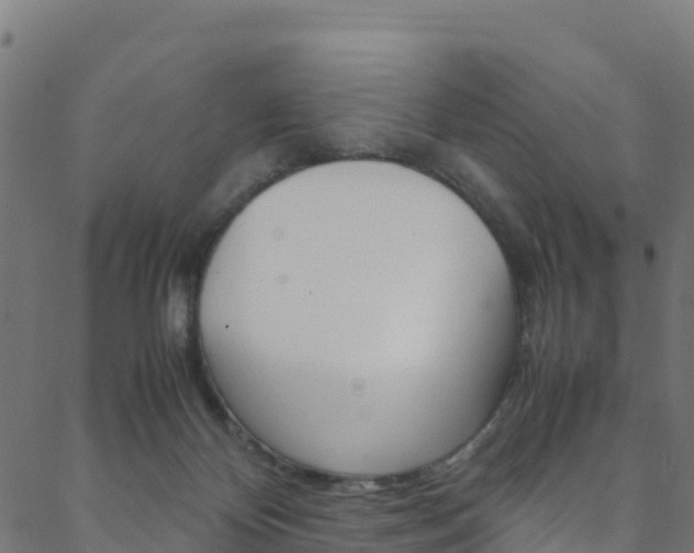 X0000088680124200705311033