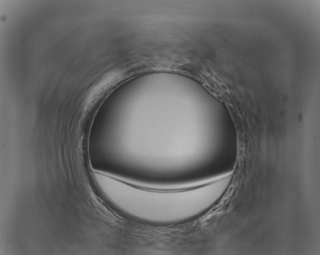 X0000088680197200705311032