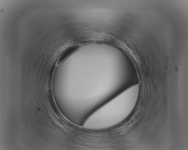 X0000088680203200705311032