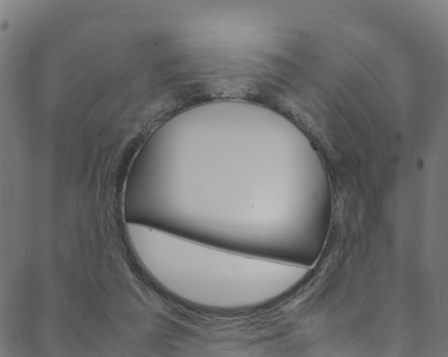 X0000088680209200705311032