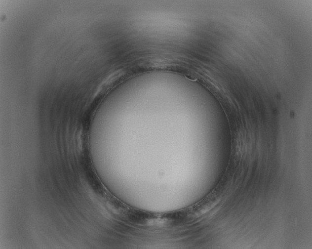 X0000088680216200705311032