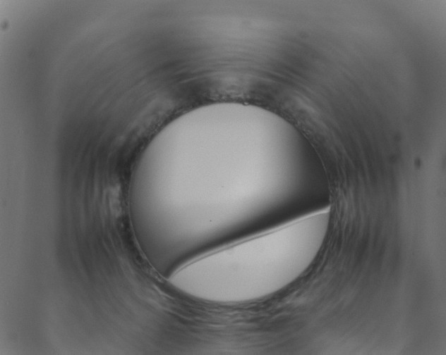 X0000088680224200705311031
