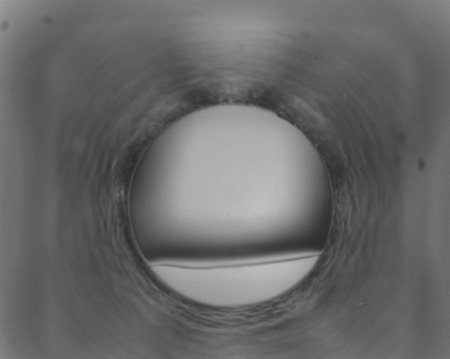 X0000088680225200705311031
