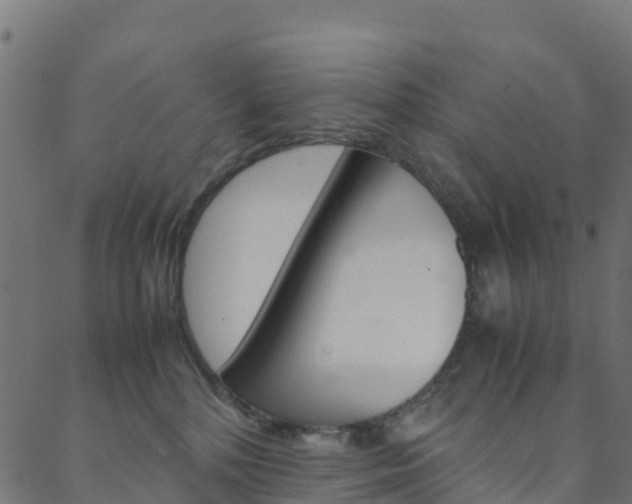 X0000088680232200705311031