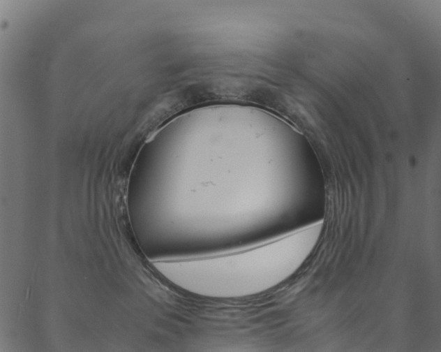 X0000088680237200705311031