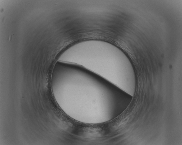X0000088680255200705311031