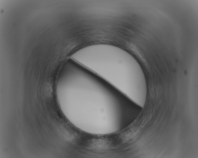 X0000088680259200705311031