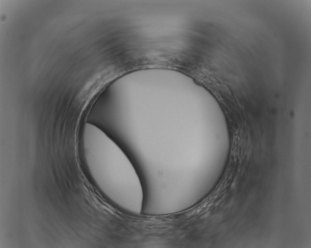 X0000088680290200705311030