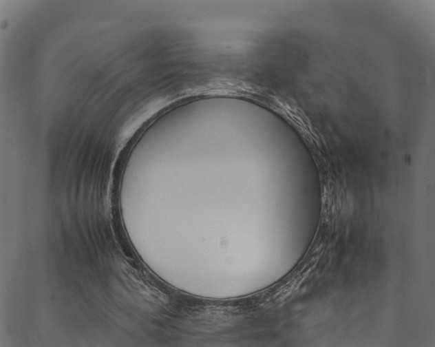 X0000088680292200705311030