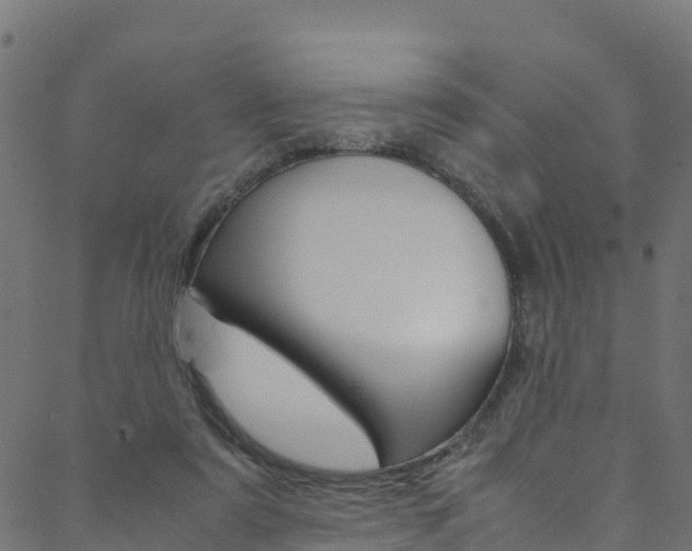 X0000088680307200705311030