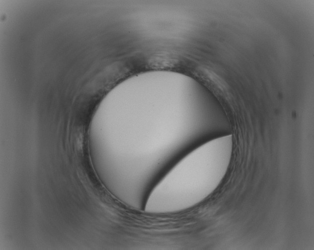 X0000088680315200705311030