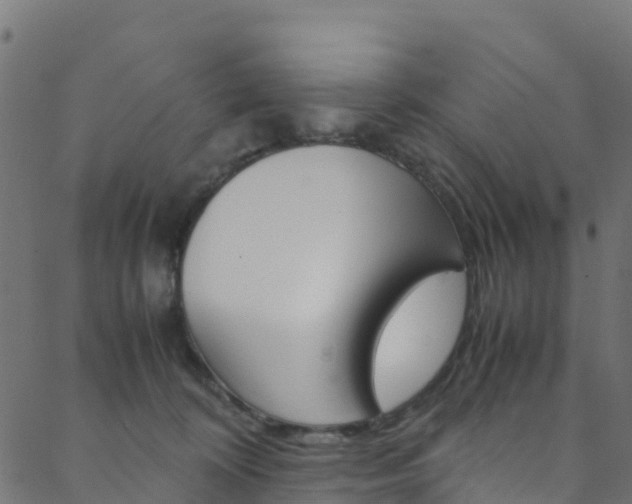 X0000088680324200705311030