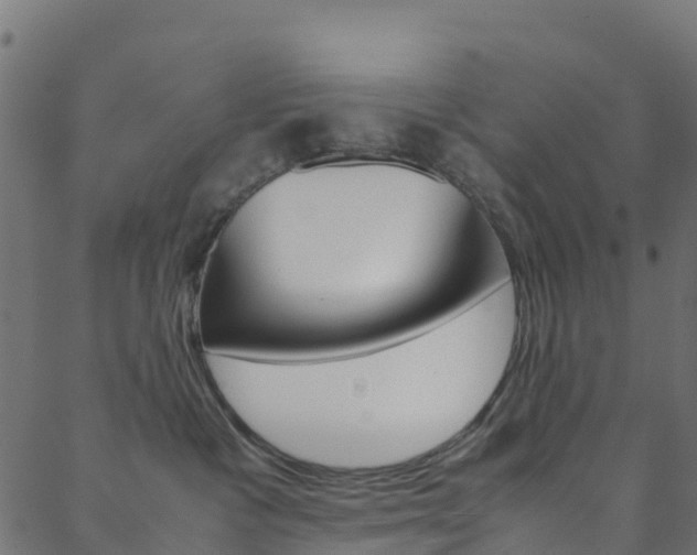 X0000088680333200705311030