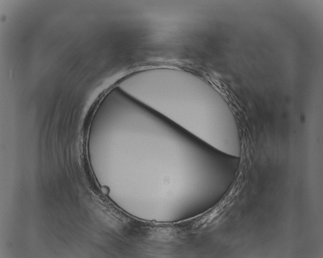 X0000088680342200705311029
