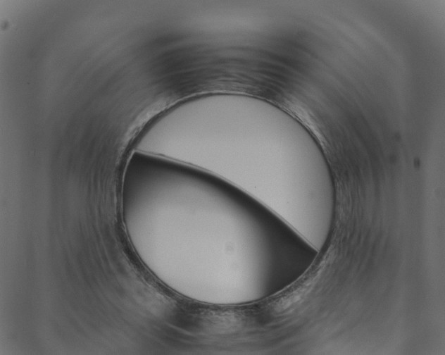 X0000088680349200705311029