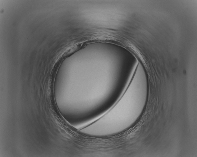 X0000088680387200705311029
