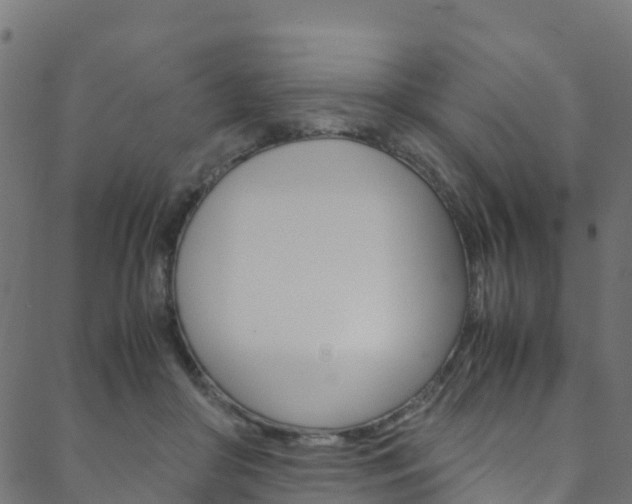 X0000088680410200705311028