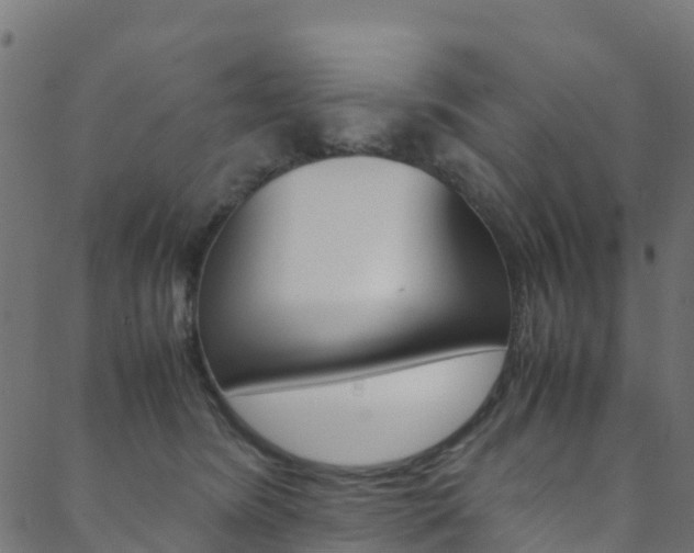 X0000088680420200705311028